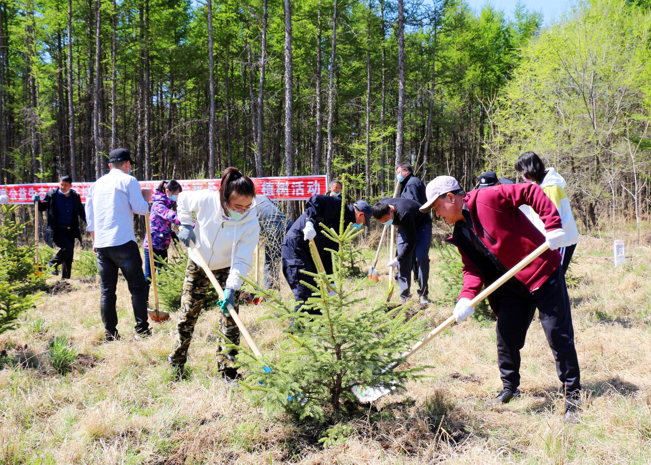 九三院举办“检察希望林”植树活动